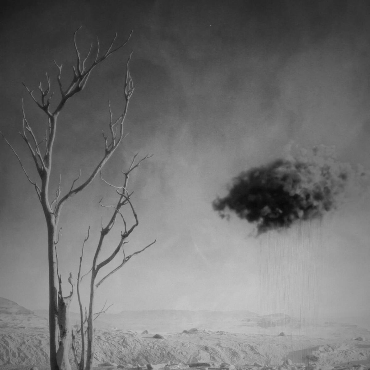 Animation created as part of Chapter 3 of the Silence series.